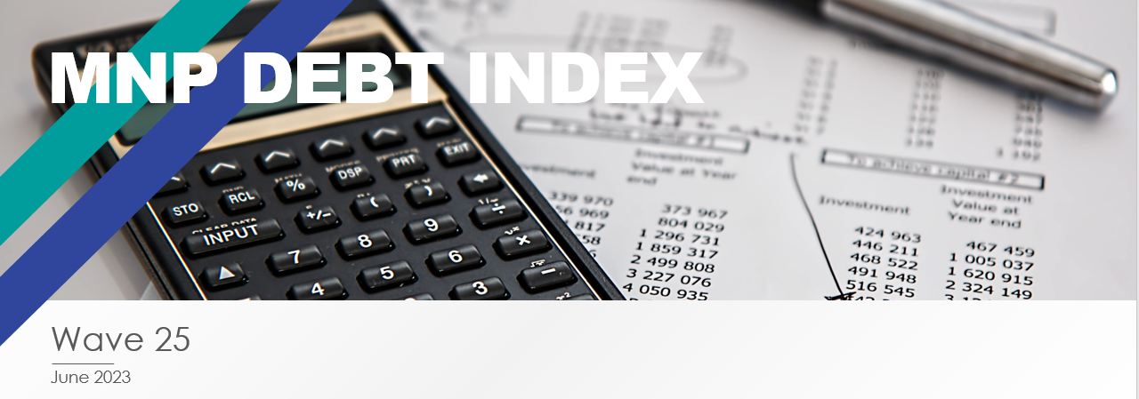 MNP Debt Index