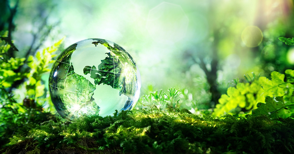 Green forest scene with a glass earth orb sitting on green moss