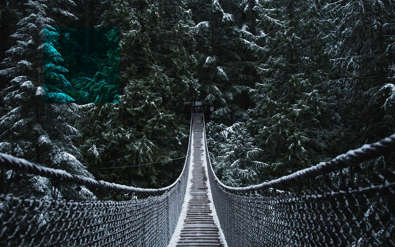 Snowy bridge in the BC forest.