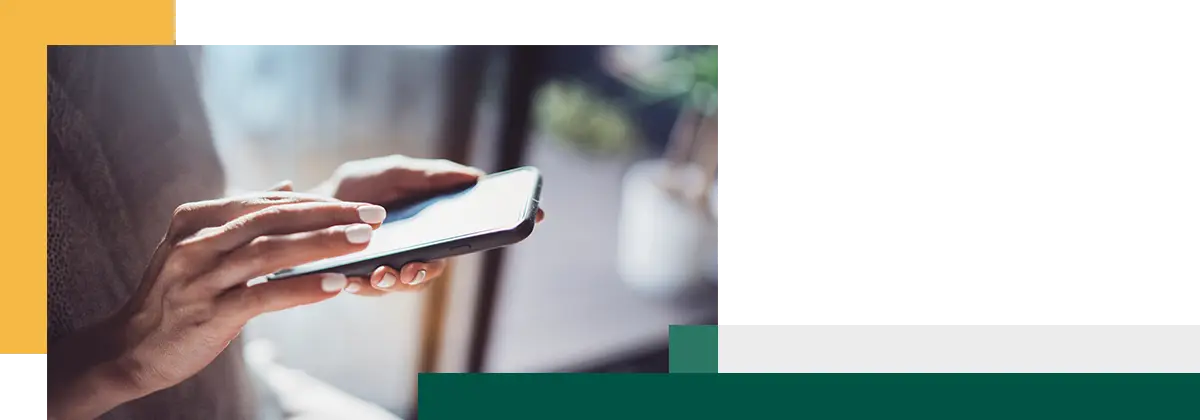 Female hands using mobile phone at sunny day