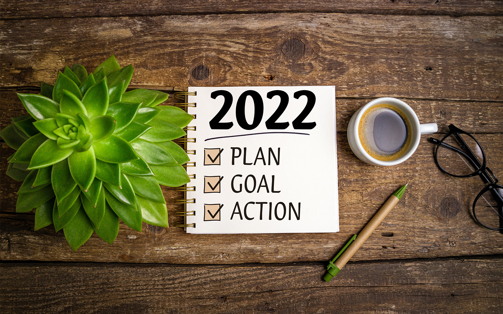 2022 plan goals 