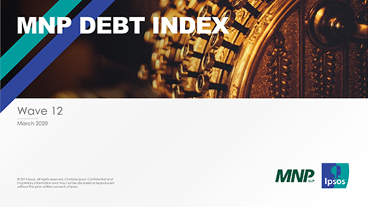 Cover of the MNP Consumer Debt Index Tracking Charts document