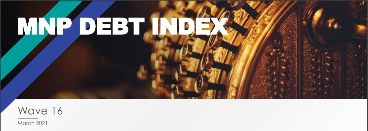 Cover of the MNP Consumer Debt Index Tracking Charts document