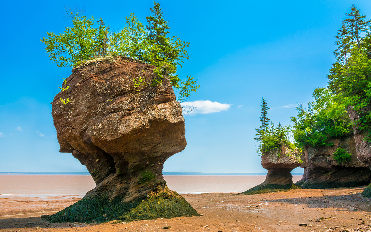 Island rock on a sandy beach.