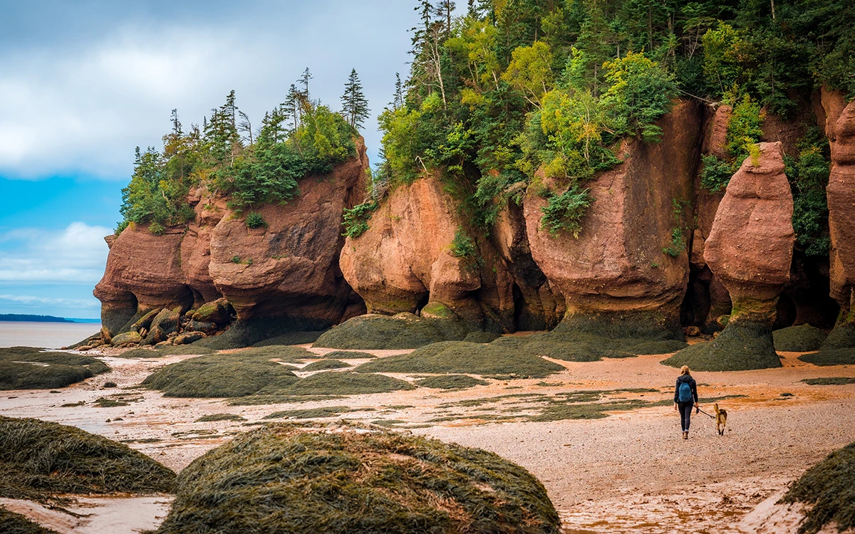 Image of Hopewell Rocks in New Brunswick