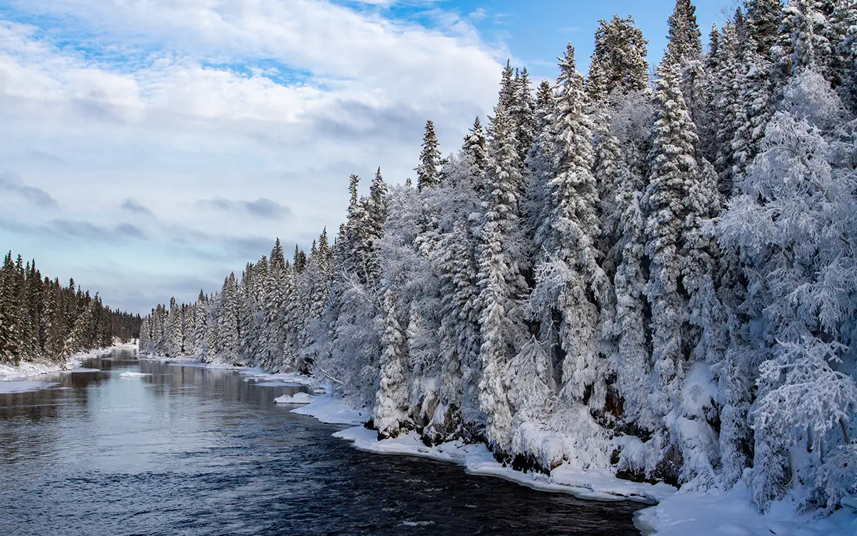 A serene river flowing through a winter wonderland of snow-covered trees.