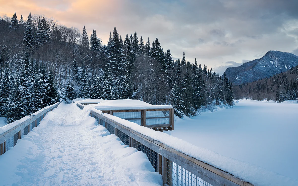 A snowy walking trail in Quebec