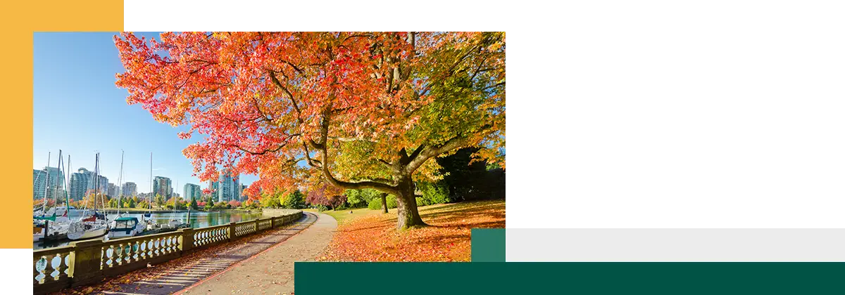 Colors of the autumn Gorgeous sea walk in the park Stanley Park in Vancouver Canada