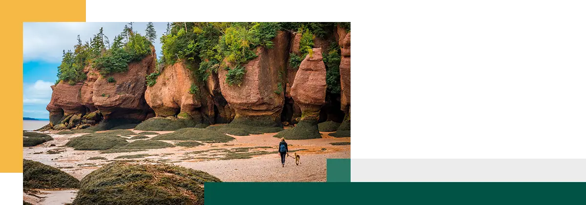 Woman walking her dog at low tide New Brunswick Canada