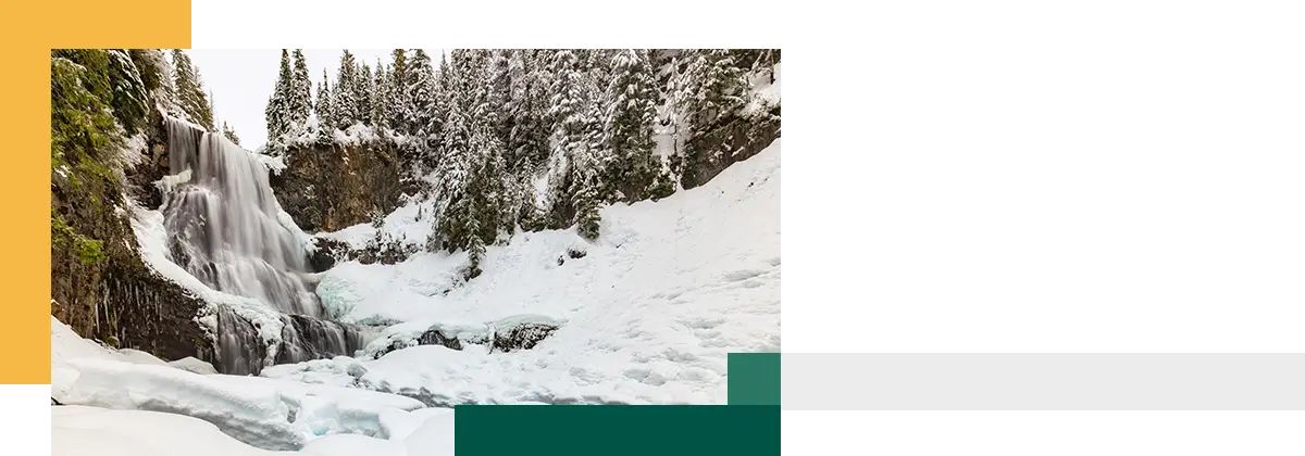 Frozen waterfall surrounded by snow and evergreen trees in a winter landscape.