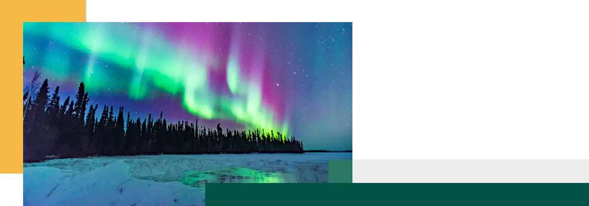 Northern lights glowing in green and purple hues above a snowy landscape and dark evergreen forest at night.