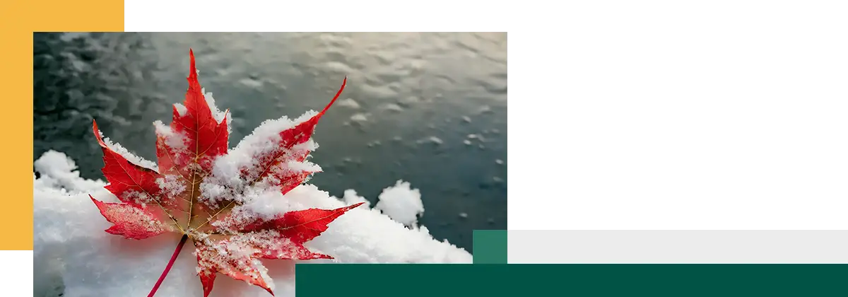 A red maple leaf covered in snow resting on a snowy surface near water.