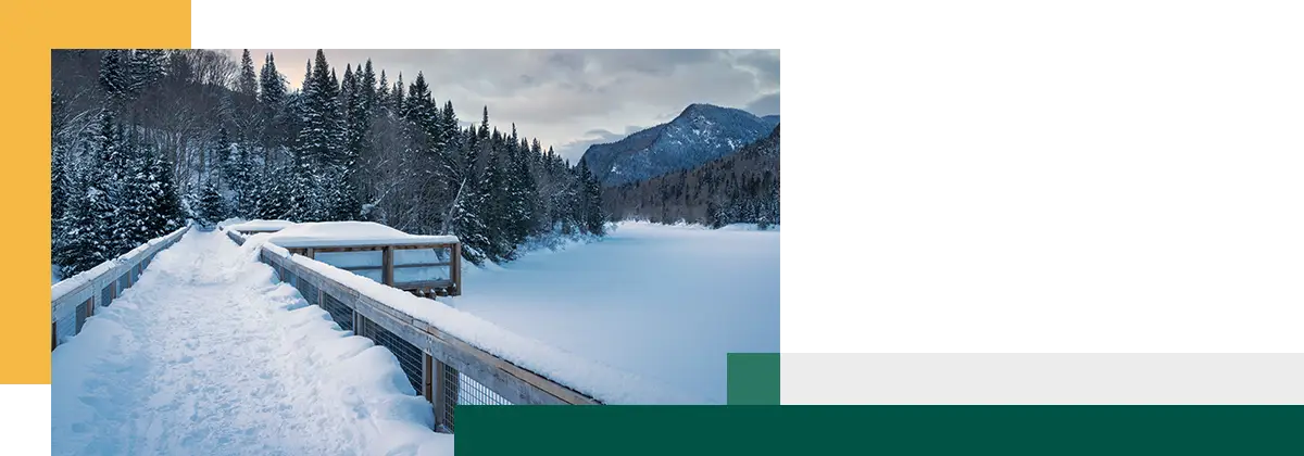 A snowy wooden boardwalk leading through a forest beside a frozen lake with mountains in the background.