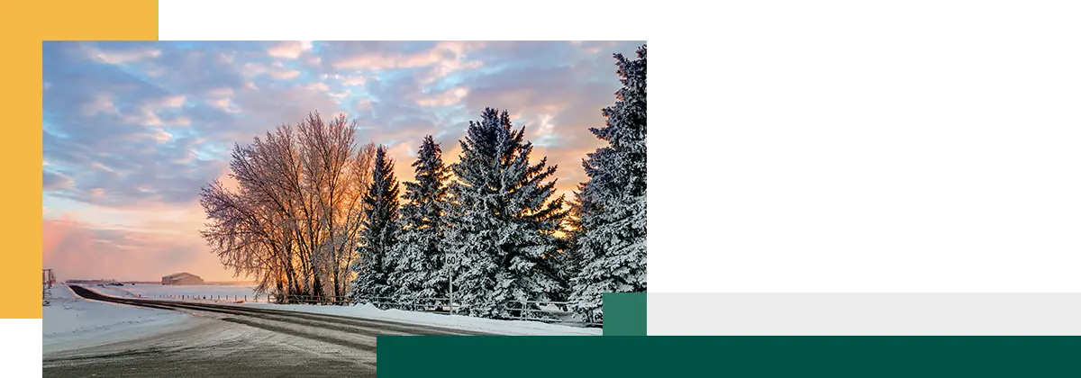 Snow-covered trees along a rural road at sunset with colorful clouds in the sky.