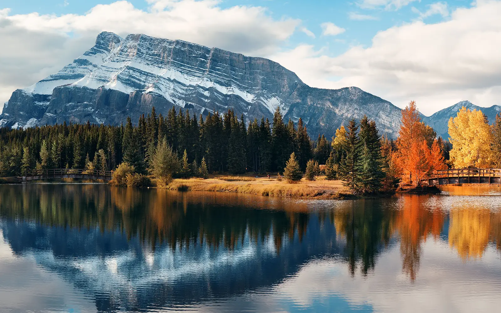 snow capped mountain behind fall trees