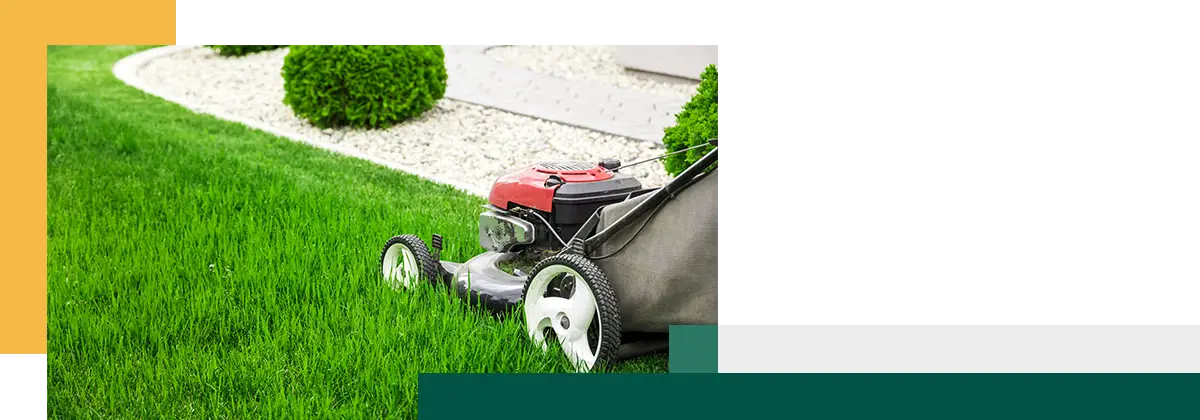 Lawn mower cutting green grass in backyard mowing law