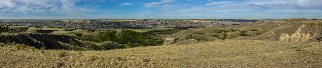 Lush Drumheller badlands.
