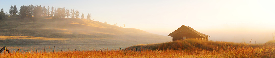 A house surrounded by an open field with the soft glow of sunrise in the background.