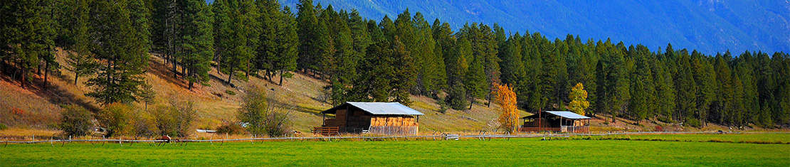 A barn surrounded by a fall field.