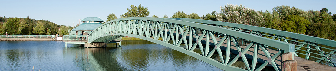 Green passenger bridge over a body of water.