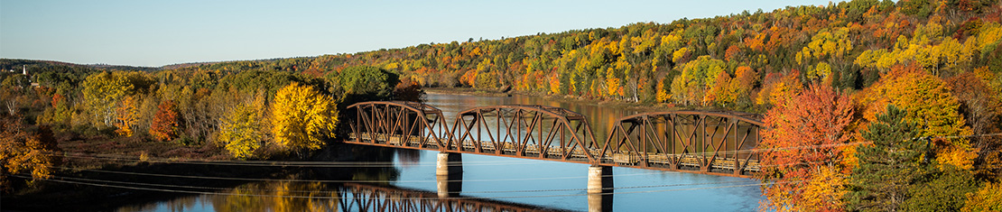 Old steel train bridge over a body of water surrounded by fall trees.