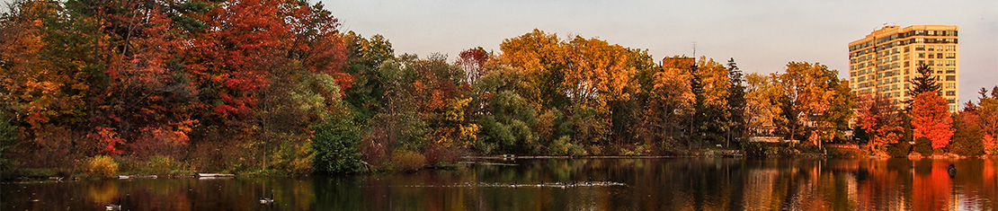 Red and yellow trees on a body of water