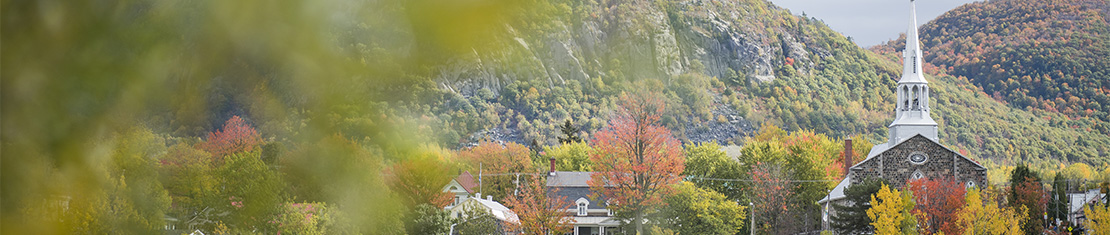 White church spire peeking out of fall trees