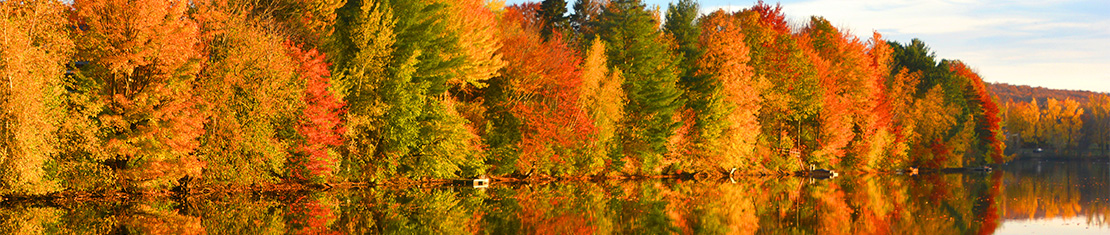 Red, orange, yellow, and green fall trees on the coast of a body of water.