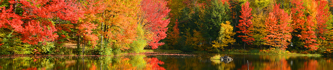 Red, orange, yellow, and green fall trees on the coast of a body of water.