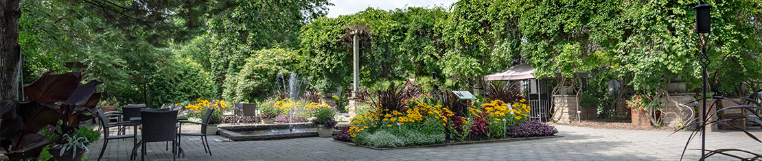 Small plaza with vined walls, small flower gardens, and a water fountain.