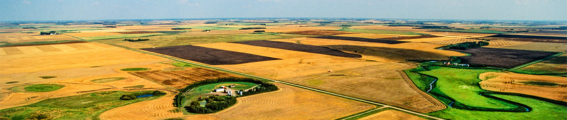 Yellow, brown and green patchwork of fields